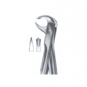 Extarcting Forceps 